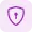 privacy-icon